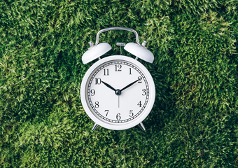 White clock on green leaves